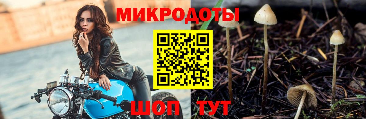 Галлюциногенные грибы MAGIC MUSHROOMS  Вход с VPN  где можно купить наркотик  Апатиты  Галлюциногенные грибы MAGIC MUSHROOMS 